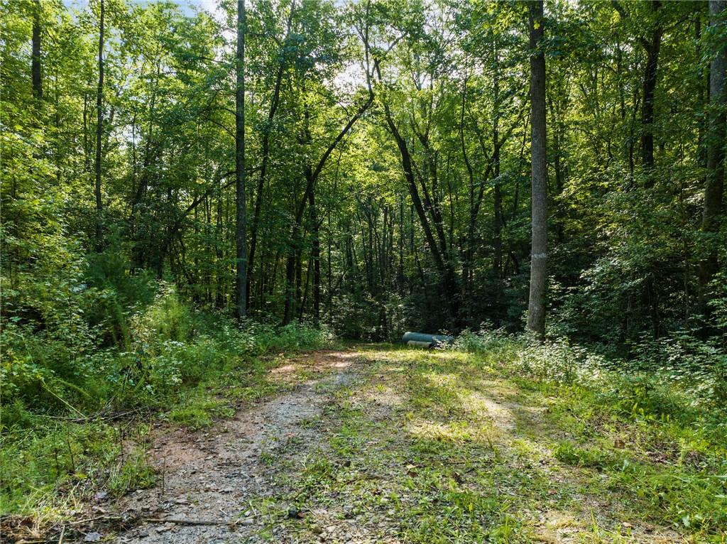 2041 Long Branch Road Dahlonega, GA 30533 - Photo 5 of 23 a view of outdoor space with deck and yard