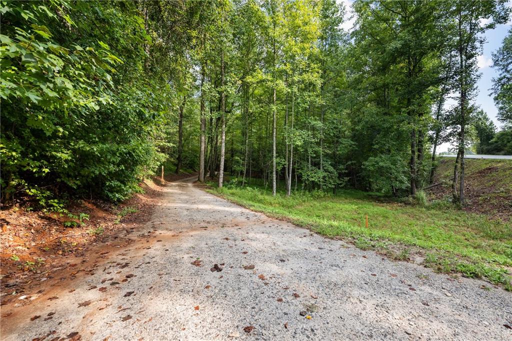 2041 Long Branch Road Dahlonega, GA 30533 - Photo 6 of 23 a view of a field with trees in the background