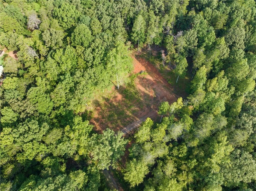 2041 Long Branch Road Dahlonega, GA 30533 - Photo 7 of 23 a backyard of a house with lots of green space