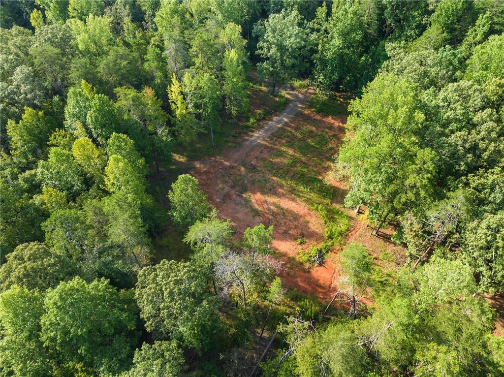 2041 Long Branch Road Dahlonega, GA 30533 - Photo 9 of 23 a backyard of a house with lots of green space