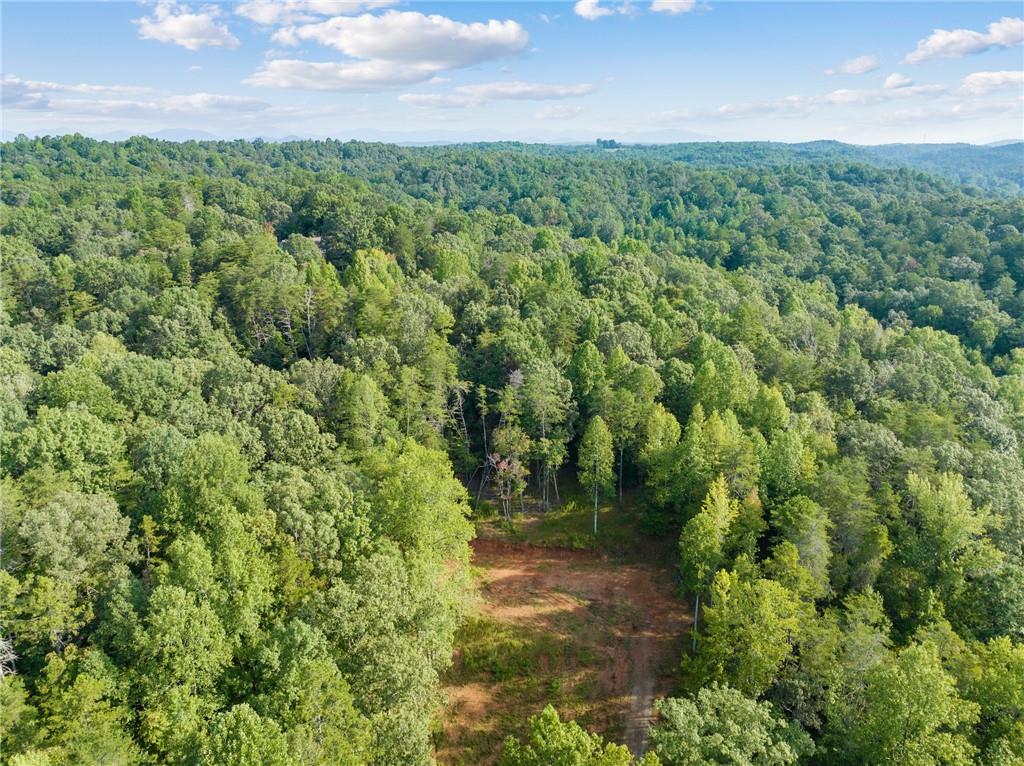 2041 Long Branch Road Dahlonega, GA 30533 - Photo 10 of 23 a view of a forest with a street