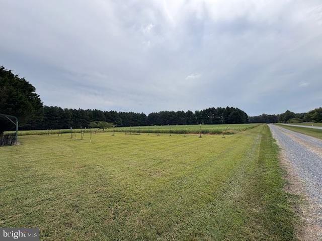 21682 Dover Bridge Road Preston, MD 21655 - Photo 1 of 23 a view of an ocean with city view