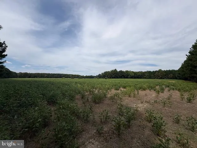a view of a lake and green valley