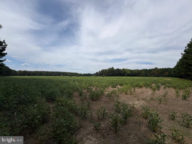 21682 Dover Bridge Road Preston, MD 21655 - Photo 11 of 23 a view of a lake and green valley