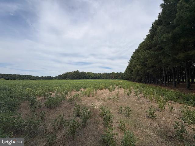21682 Dover Bridge Road Preston, MD 21655 - Photo 12 of 23 a view of lake with green space