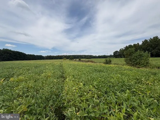 a view of a lake with a big yard