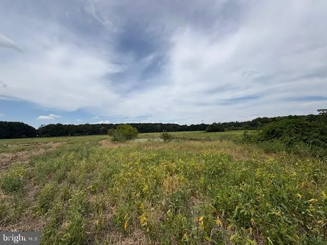 a view of a lake and mountain