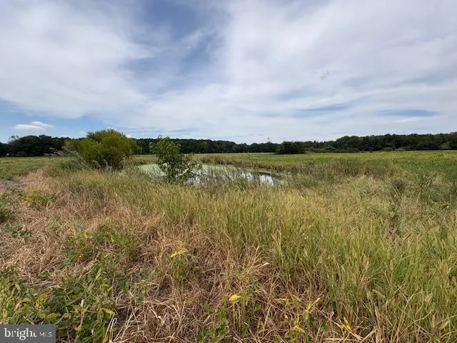 a view of lake with mountain