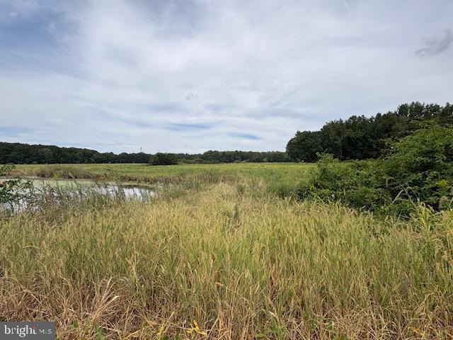 21682 Dover Bridge Road Preston, MD 21655 - Photo 16 of 23