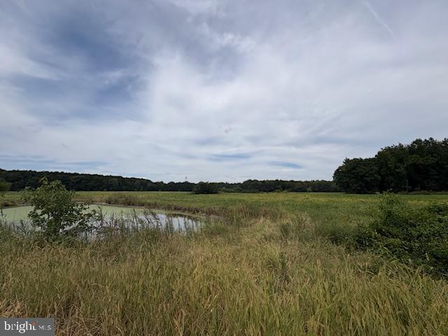 21682 Dover Bridge Road Preston, MD 21655 - Photo 17 of 23 a view of a lake from a yard