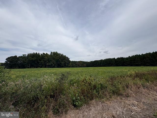 21682 Dover Bridge Road Preston, MD 21655 - Photo 18 of 23 a view of a lake