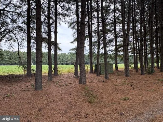 a view of outdoor space with trees