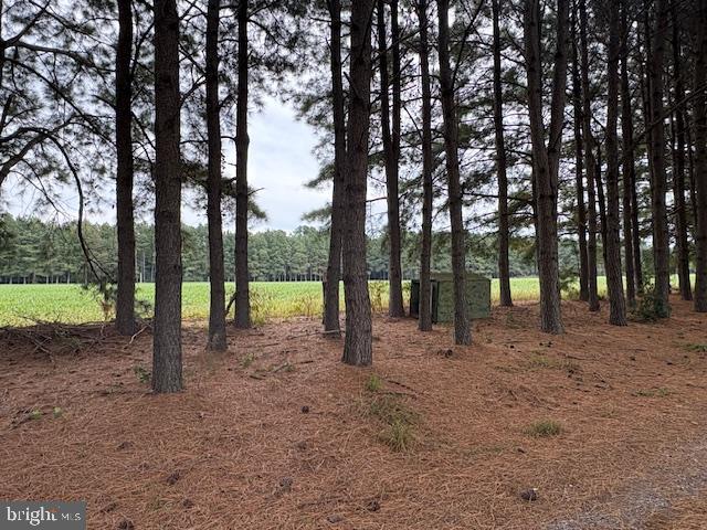 21682 Dover Bridge Road Preston, MD 21655 - Photo 21 of 23 a view of trees with park