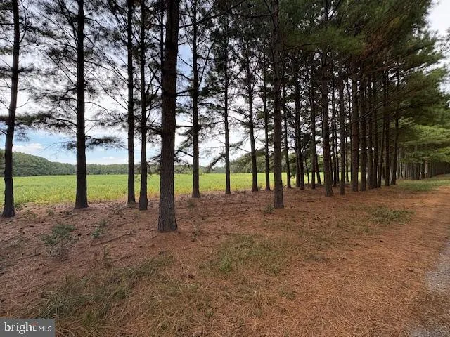 $749,000 | 21682 Dover Bridge Road, Preston, MD 21655