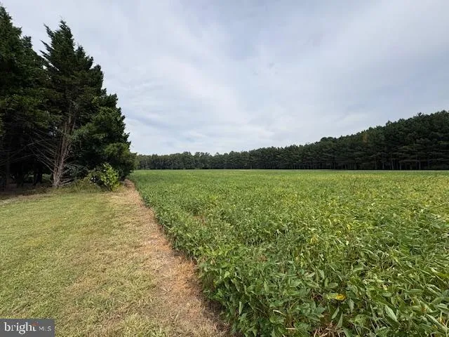 a view of a lake with a big yard