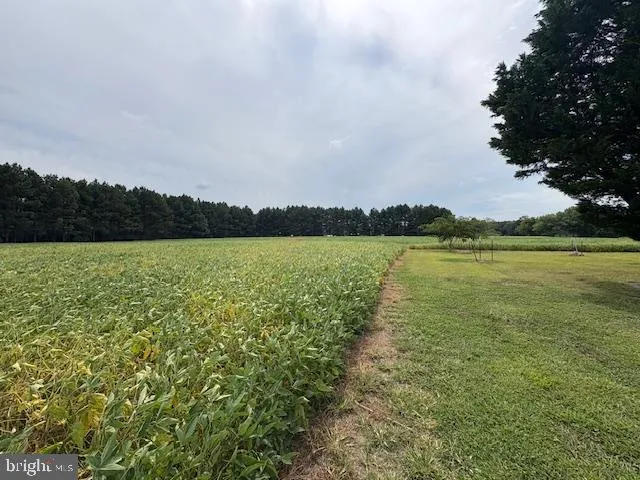 a view of a lake with houses in the back