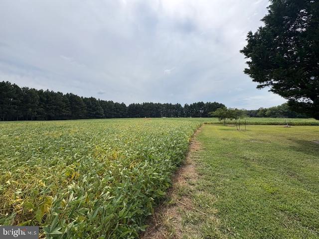 21682 Dover Bridge Road Preston, MD 21655 - Photo 9 of 23 a view of a lake with houses in the back
