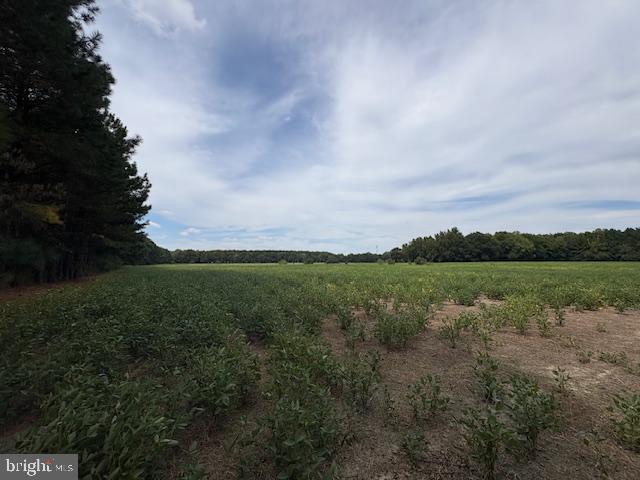 21682 Dover Bridge Road Preston, MD 21655 - Photo 10 of 23 a view of a lake and green valley