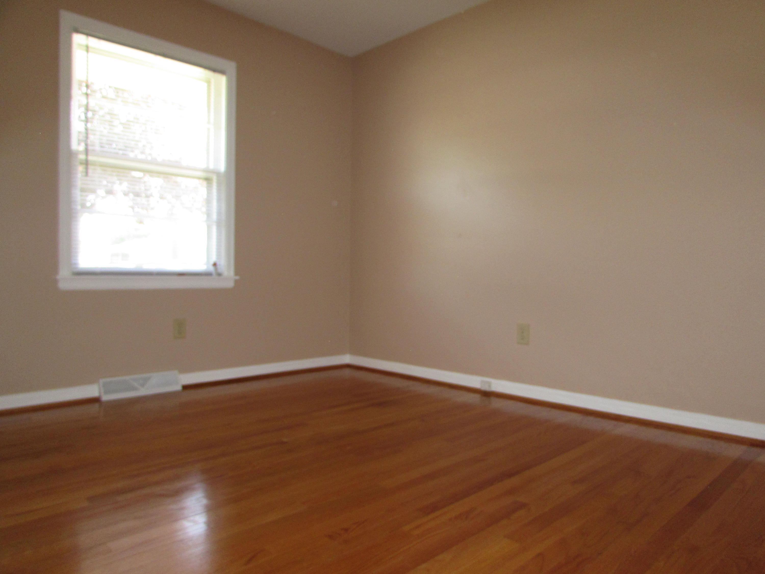 520 Water Oak Road Roanoke, VA 24019 - Photo 10 of 19 101