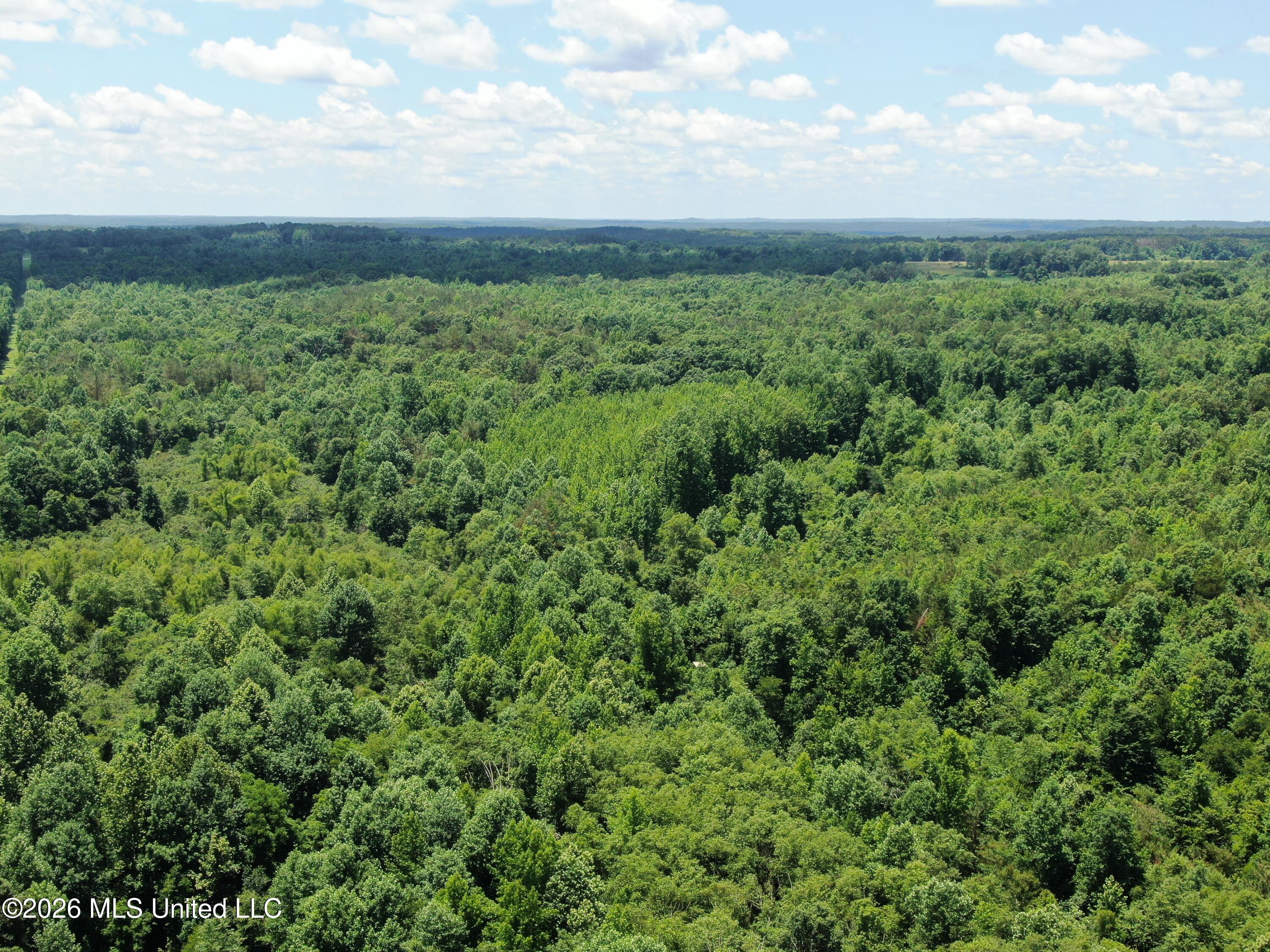 0 Scruggs Road Holly Springs, MS 38635 - Photo 8 of 25 DJI_0035