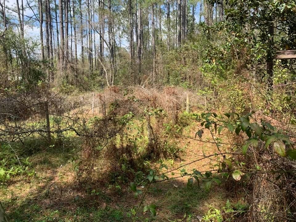 26264 Feely Road Elberta, AL 36530 - Photo 22 of 30