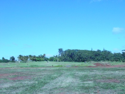 5 Puu Road Kalaheo, HI 96741 - Photo 5 of 5 a view of a field with trees in background