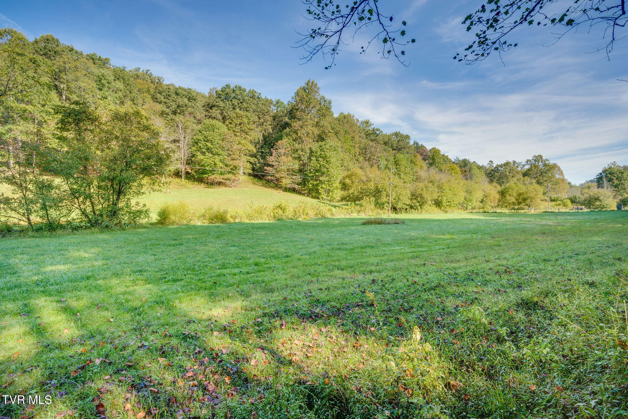 Lot 3 Bays Mountain Road Rogersville, TN 37857 - Photo 3 of 12 003 (2)