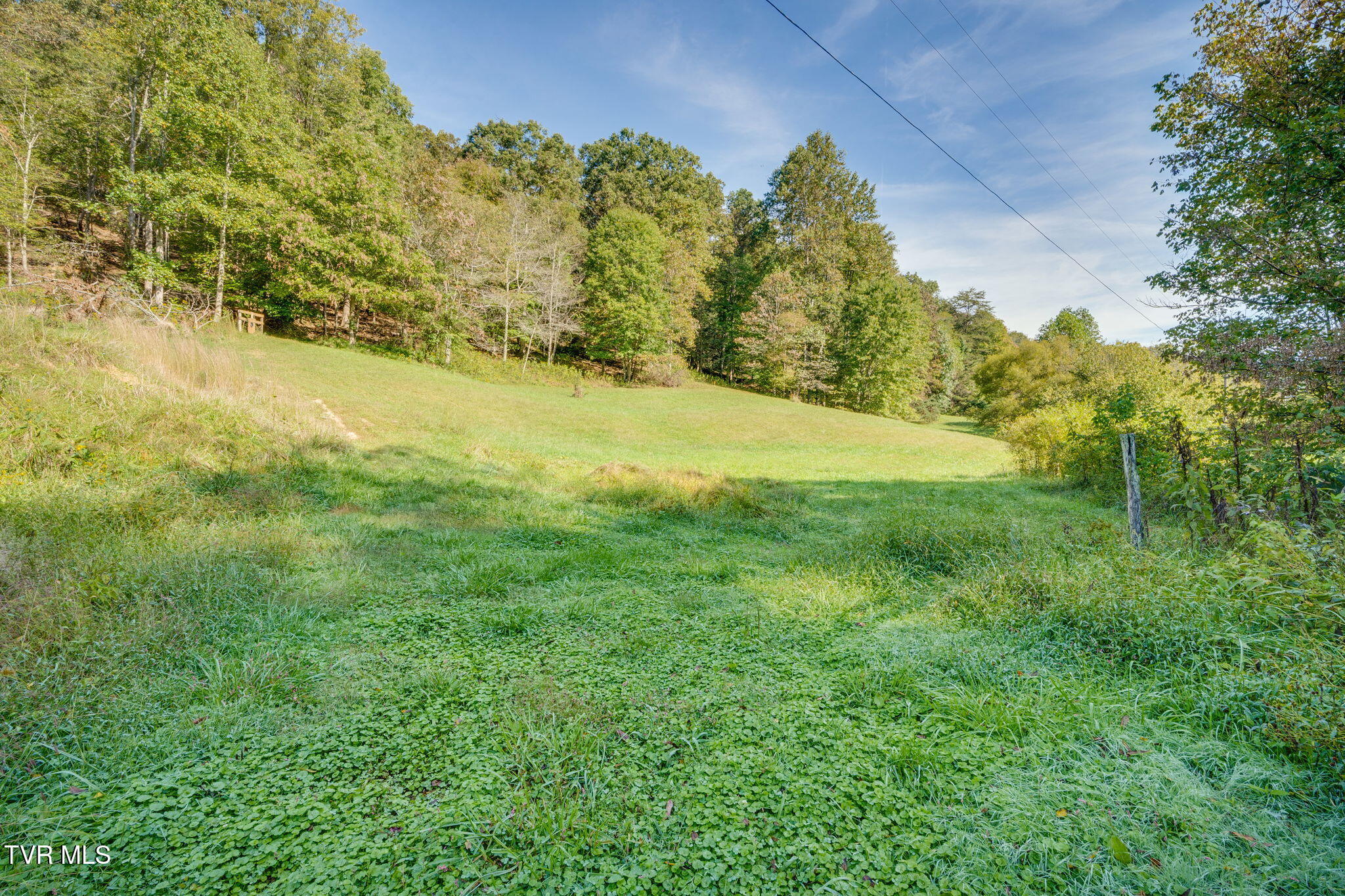 Lot 3 Bays Mountain Road Rogersville, TN 37857 - Photo 6 of 12 005 (2)