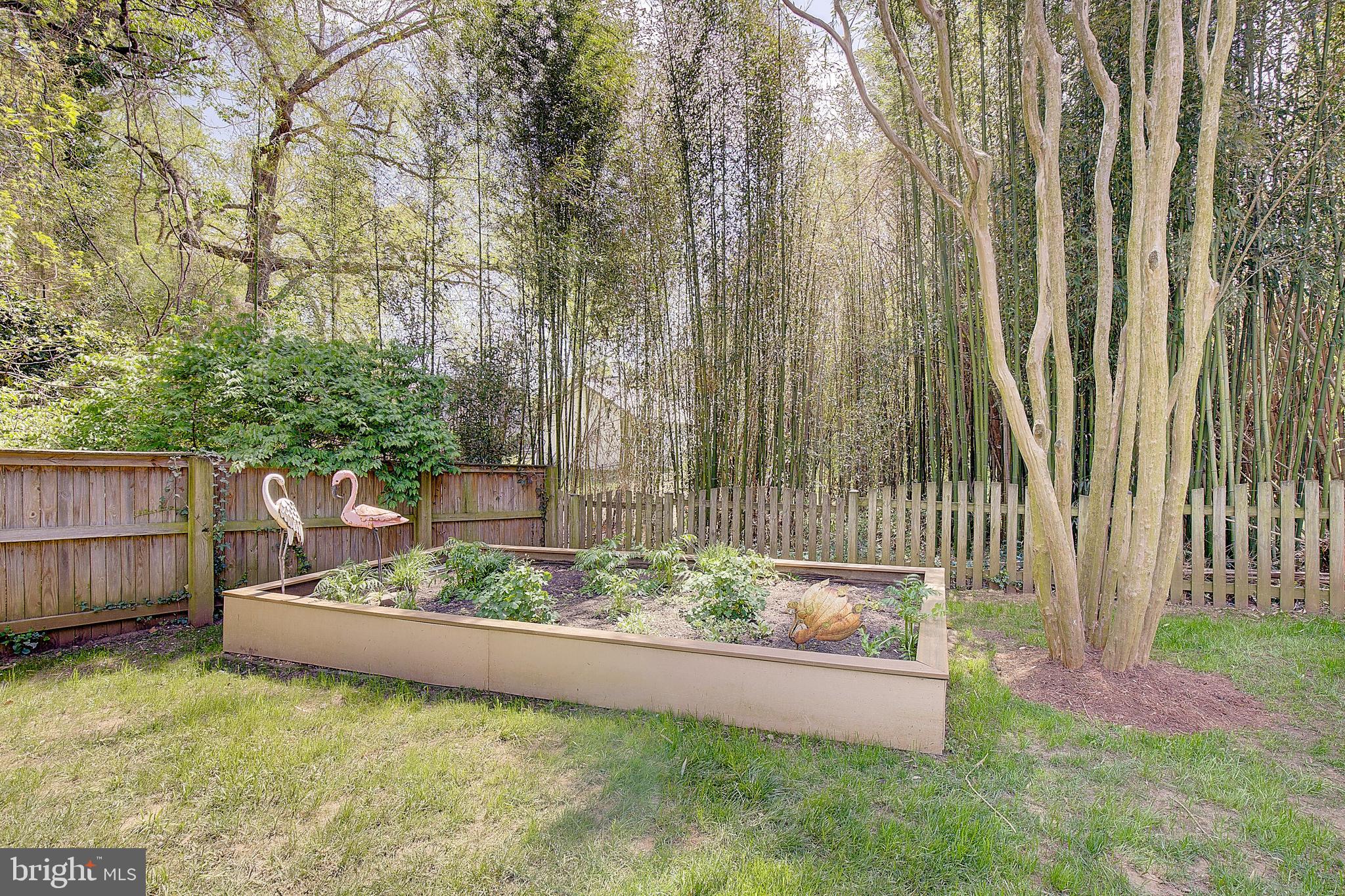 2 Isaacs Street Annapolis, MD 21401 - Photo 20 of 63 a view of a backyard with plants and wooden fence