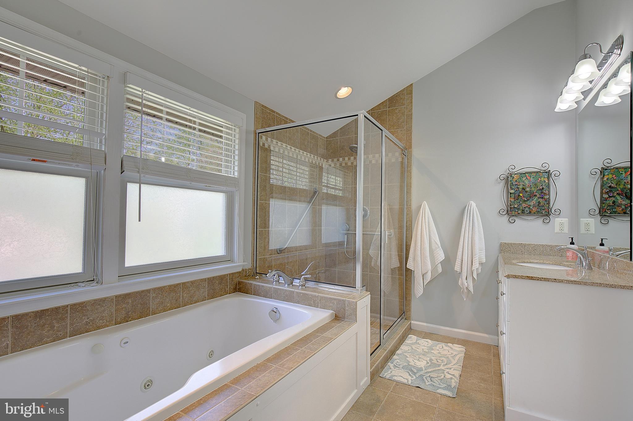 2 Isaacs Street Annapolis, MD 21401 - Photo 50 of 63 a bathroom with a tub a sink and a large window