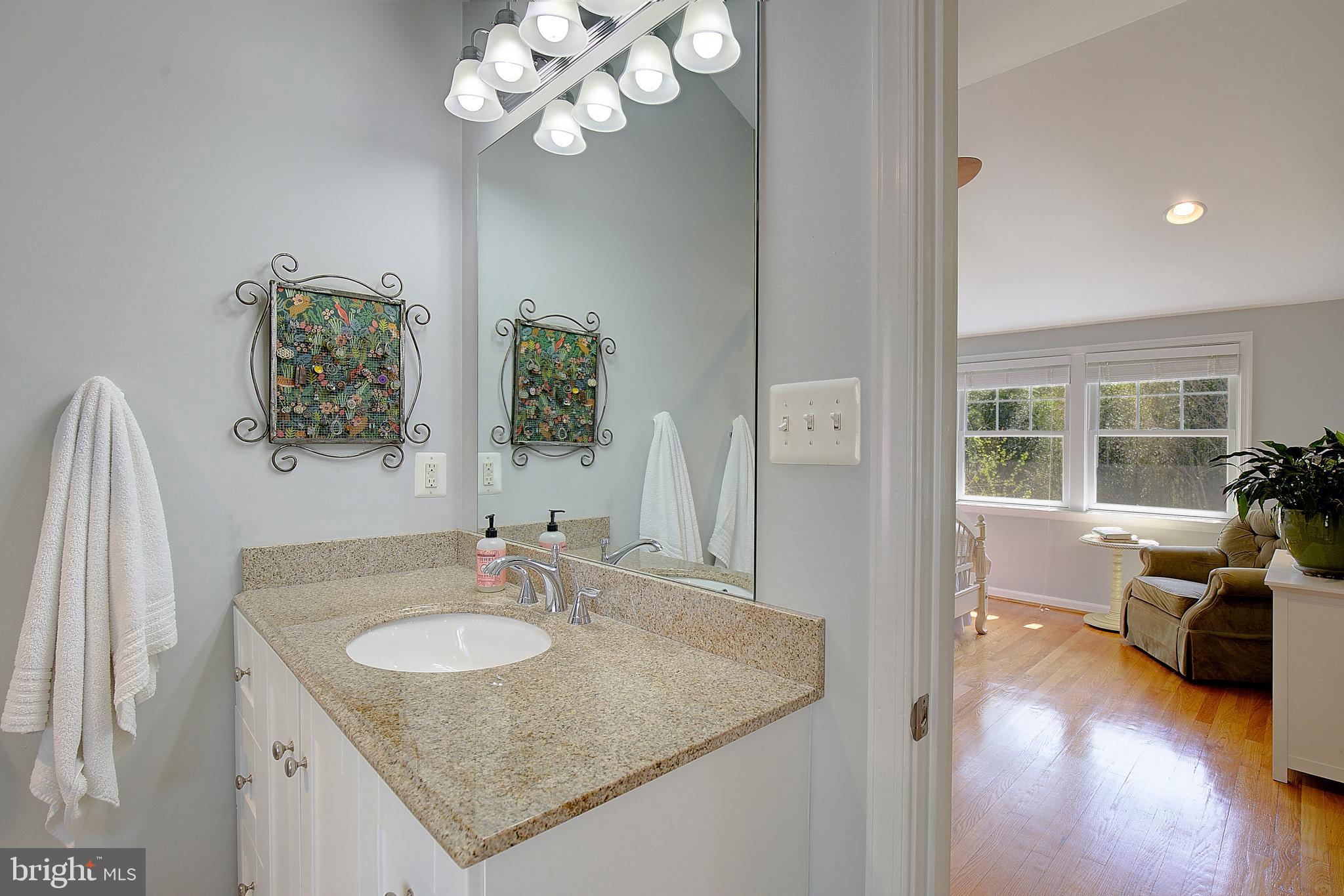 2 Isaacs Street Annapolis, MD 21401 - Photo 52 of 63 a en suite bathroom with a granite countertop sink a mirror and a shower