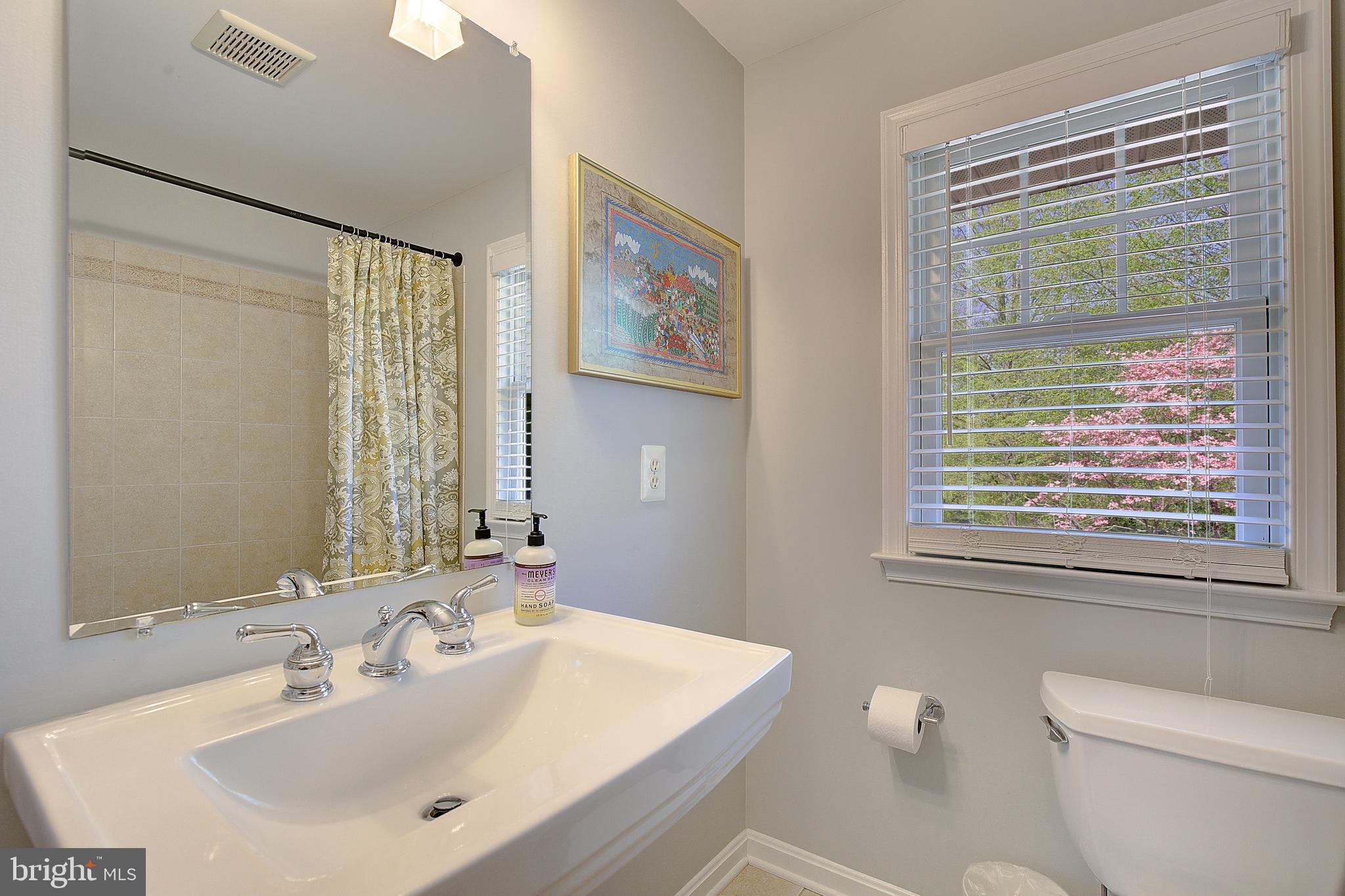 2 Isaacs Street Annapolis, MD 21401 - Photo 59 of 63 a bathroom with a sink a toilet and a mirror