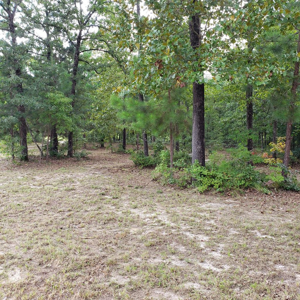 855 Windsor Road Windsor, SC 29856 - Photo 46 of 49