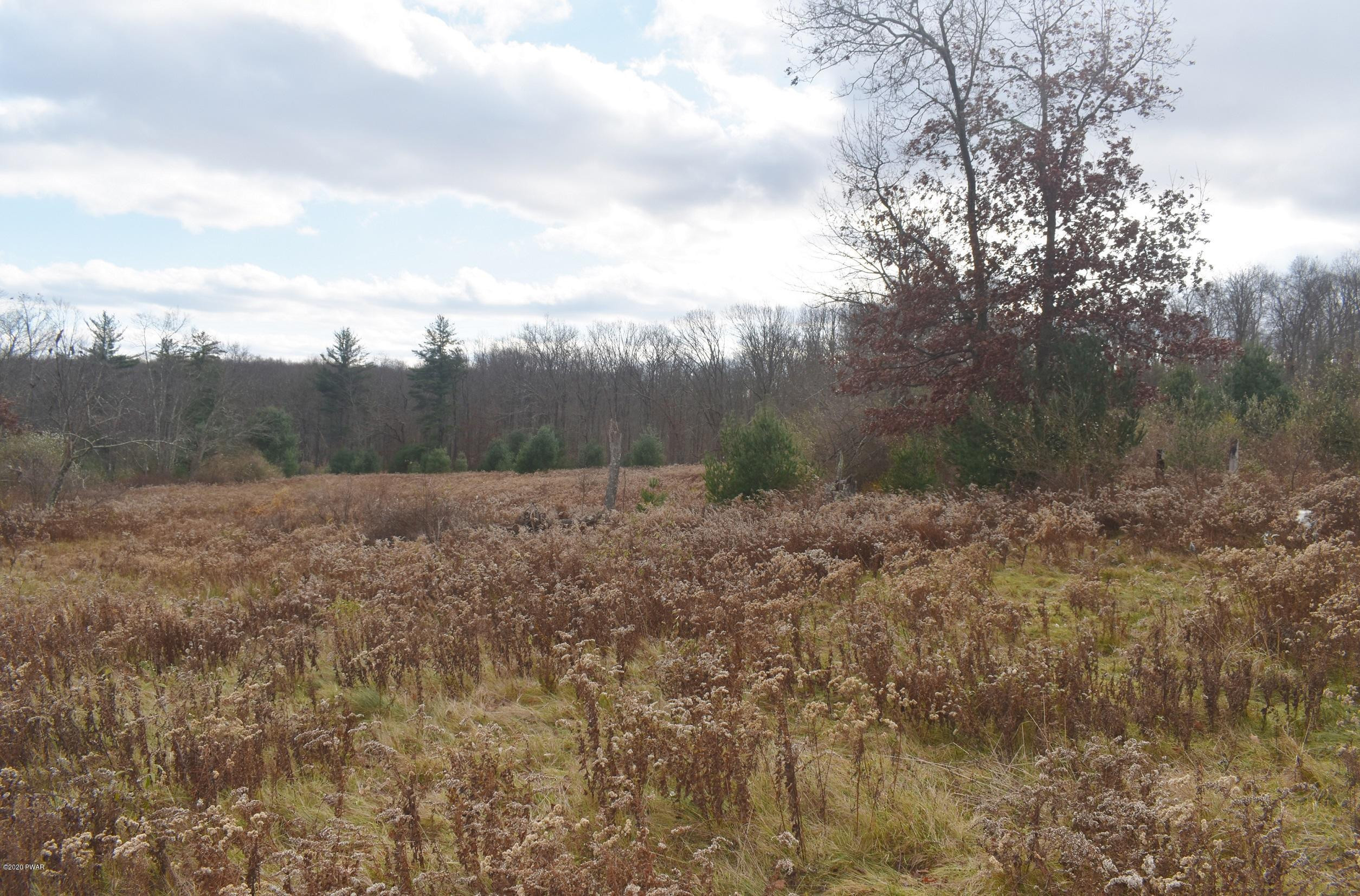 228 Welcome Lake Road Beach Lake, PA 18405 - Photo 19 of 22