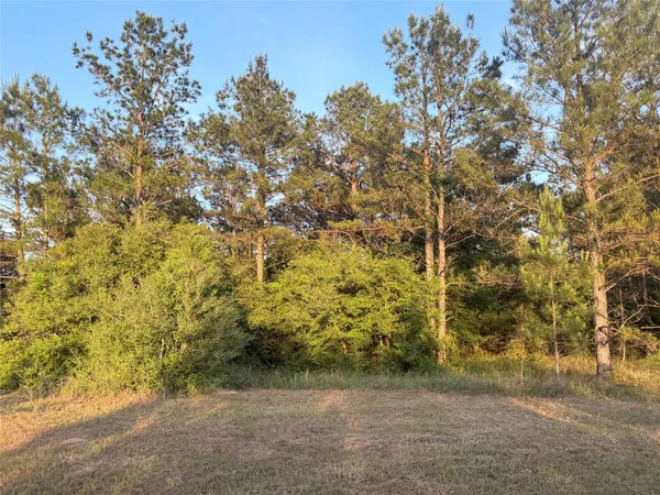 $185,000 | 9130 Black Buck Lane, Conroe, TX 77303