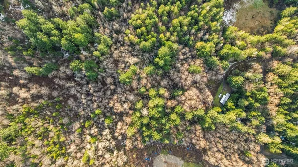 a view of a tree