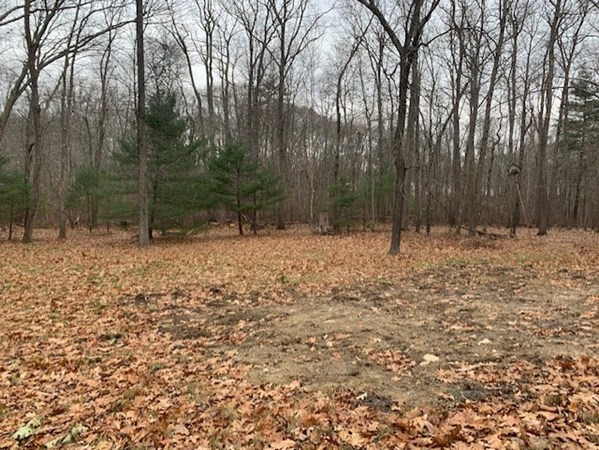 10 Bird Lane Sharon, MA 02067 - Photo 2 of 4