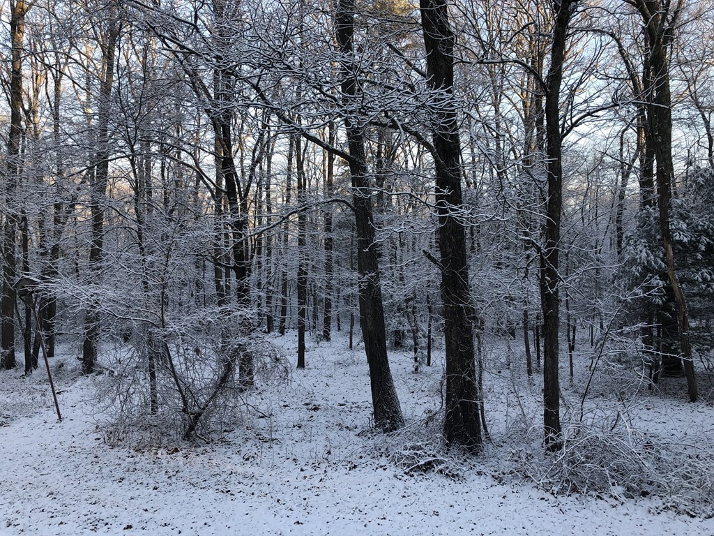 10 Bird Lane Sharon, MA 02067 - Photo 3 of 4