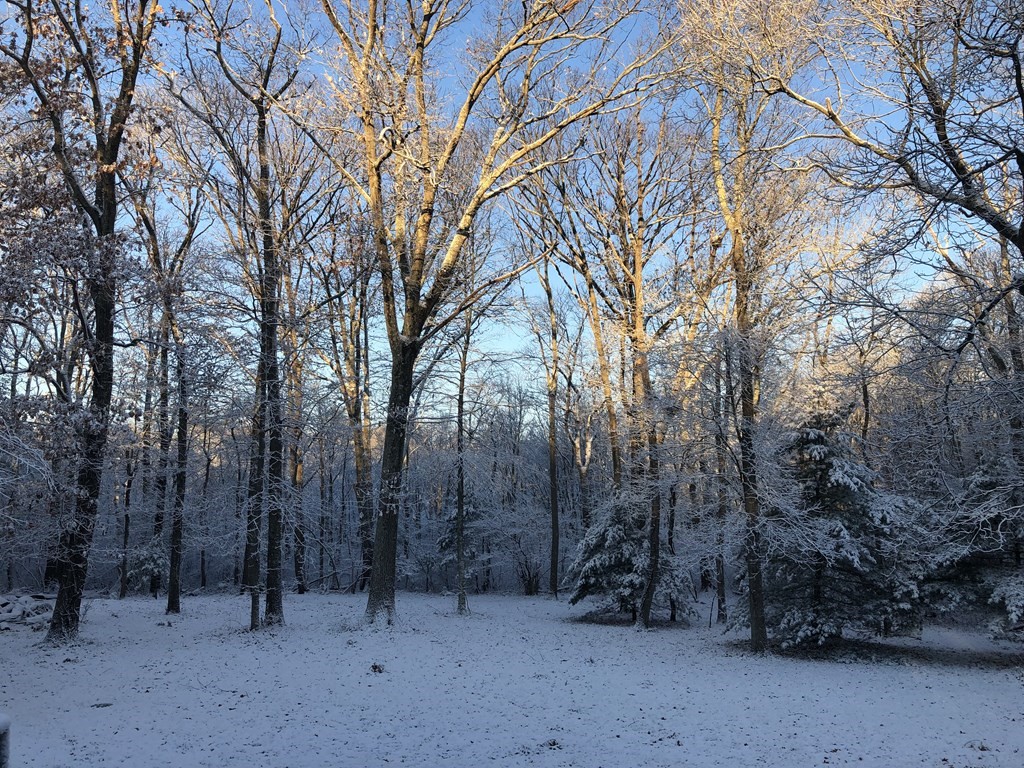 10 Bird Lane Sharon, MA 02067 - Photo 4 of 4