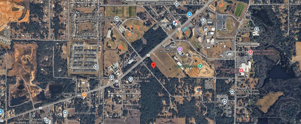 36520 County Road 52 Dade City, FL 33525 - Photo 4 of 7 a picture of street view