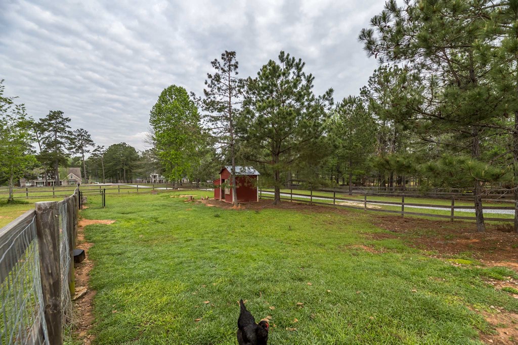 2672 McKee Road Upatoi, GA 31829 - Photo 43 of 49 Gallery Image 43