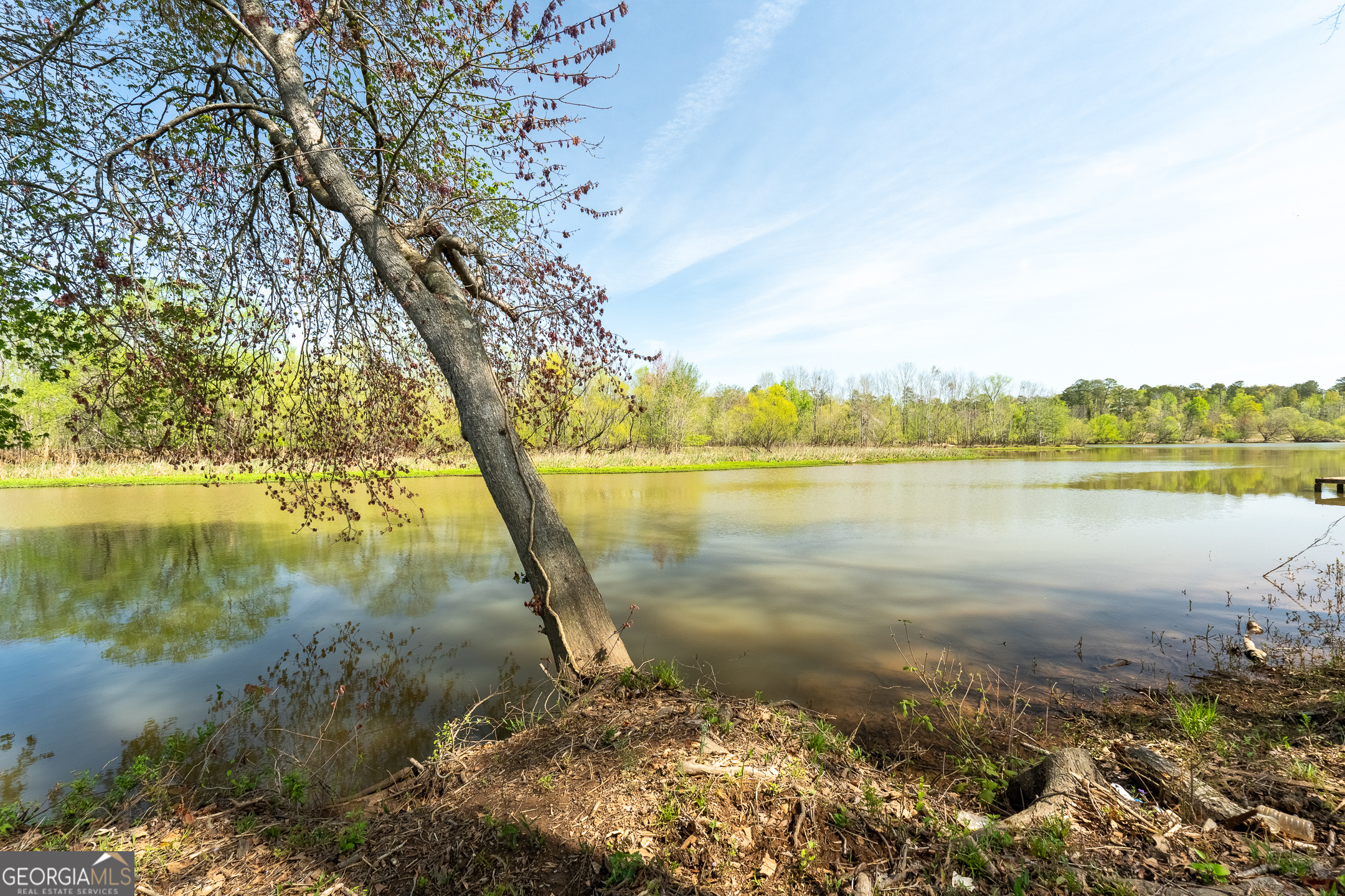 0 Henry Higgins Road Jackson, GA 30233 - Photo 6 of 12 a view of a lake with a yard