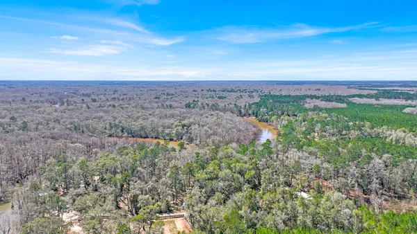 a view of a big yard with lots of green space