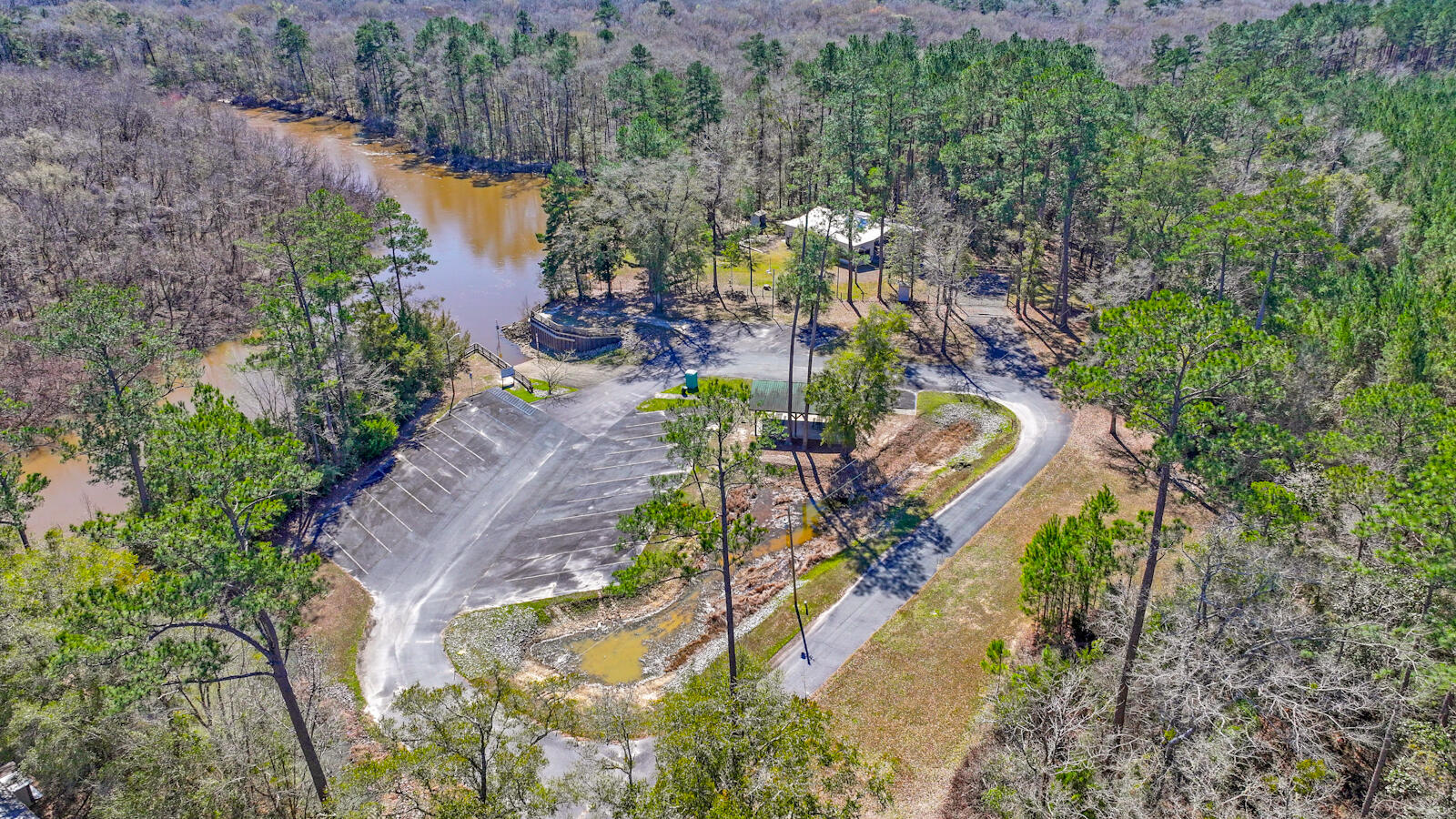 Tbd Cedar Log Lake Road Ponce de Leon, FL 32455 - Photo 9 of 11 a view of a yard with plants and large trees
