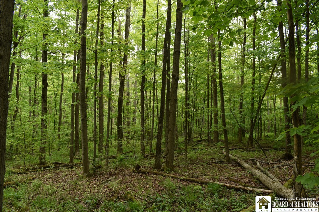 0 Harris Hollow Road Gerry, NY 14740 - Photo 15 of 23