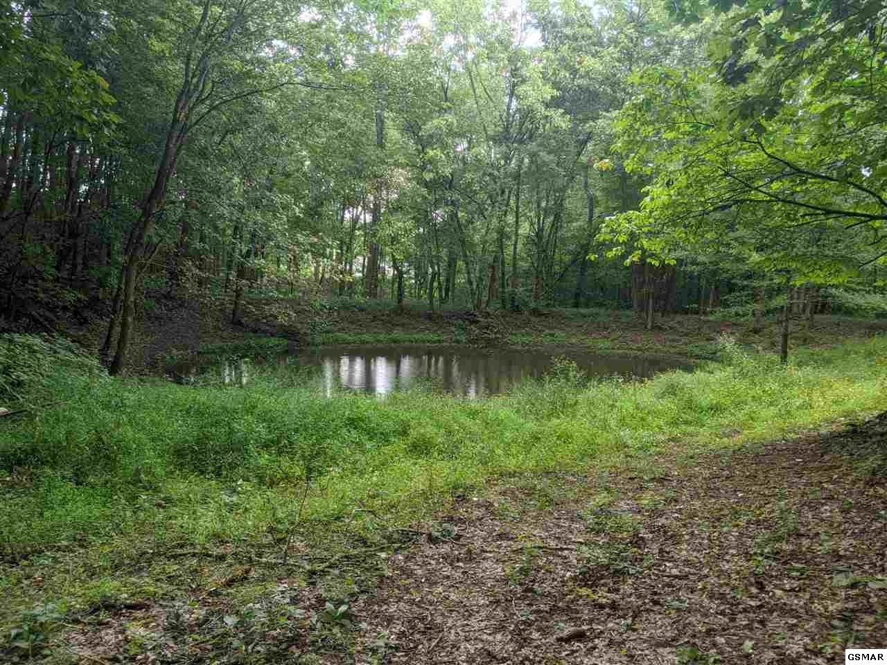 0 Blue Springs Road Strawberry Plains, TN 37871 - Photo 19 of 31 Gallery Image 19