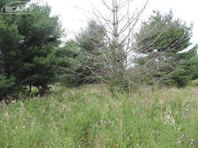 0 Lake George Road Leonard, MI 48428 - Photo 1 of 4