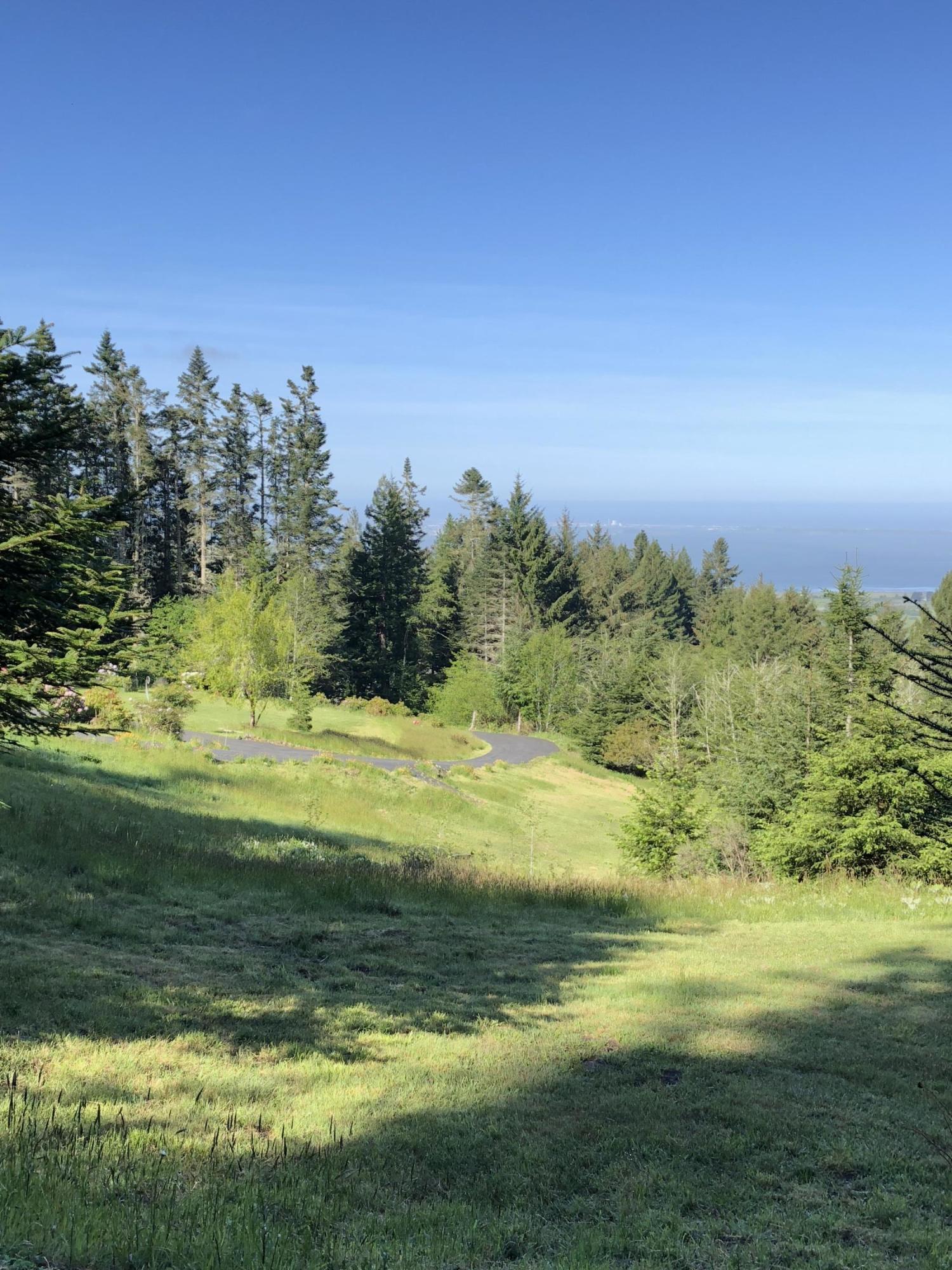 1465 Splinter Ln Bayside Lane Arcata, CA 95521 - Photo 32 of 40