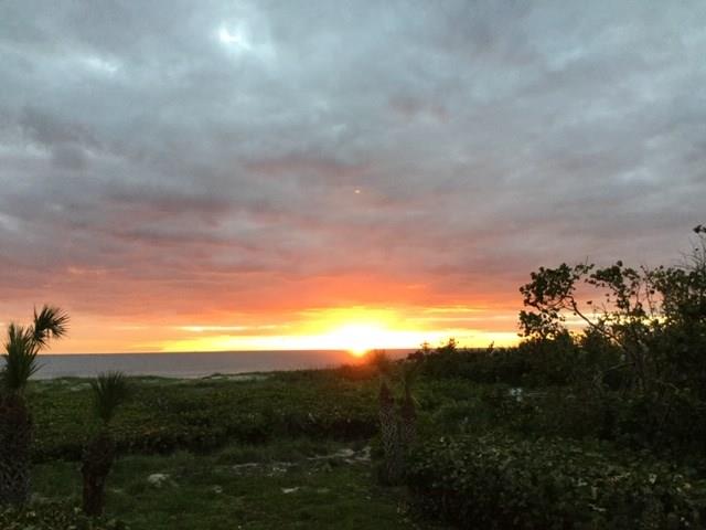 1440 Ocean Drive, Unit 1 Vero Beach, FL 32963 - Photo 27 of 27