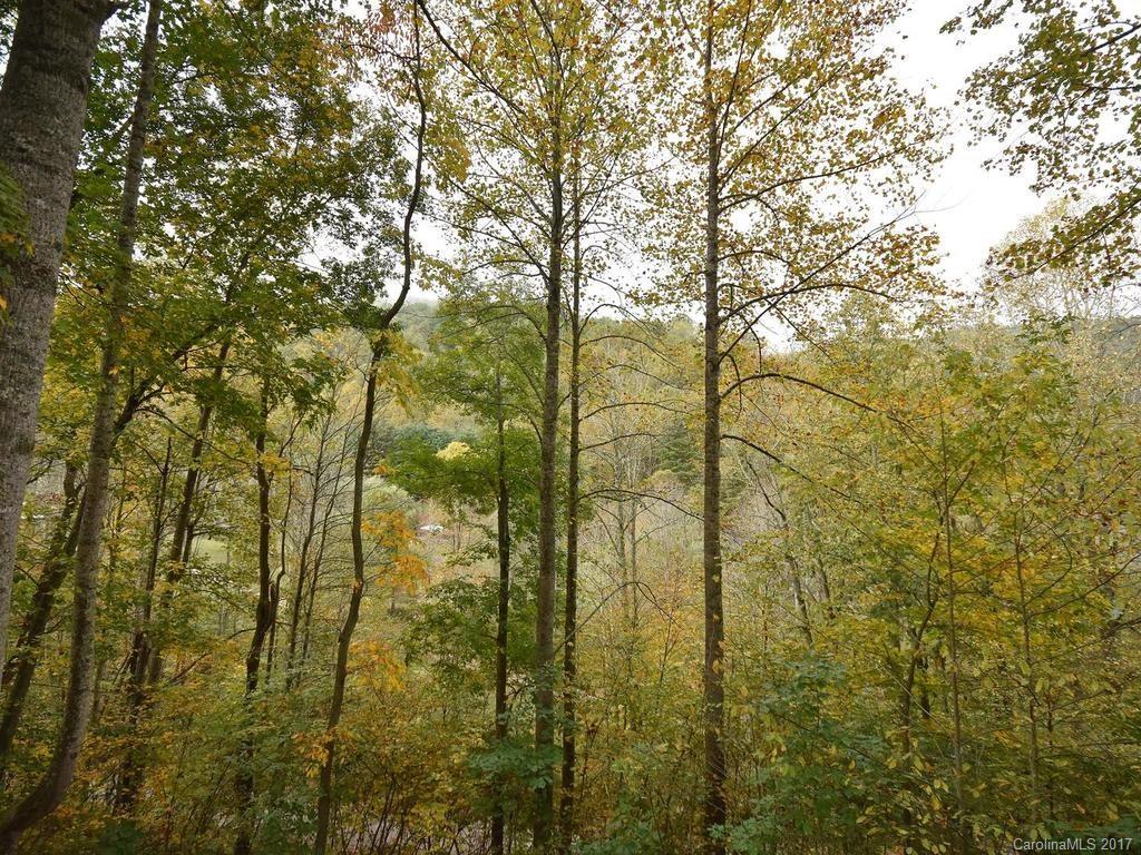 64 Middle Ridge Road Waynesville, NC 28785 - Photo 23 of 23